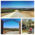 599131_301881259905328_1007098253_n